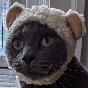 Meet your Posher, Celeste